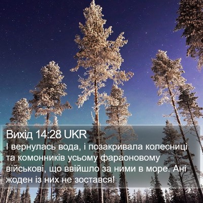 Вихід 14:28 UKR Bible Verse Image