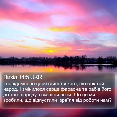 Вихід 14:5 UKR Bible Verse Image
