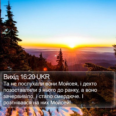 Вихід 16:20 UKR Bible Verse Image