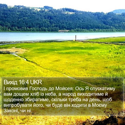 Вихід 16:4 UKR Bible Verse Image