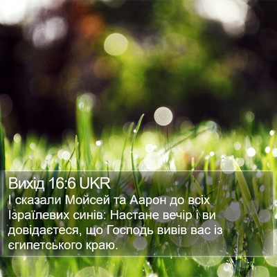 Вихід 16:6 UKR Bible Verse Image