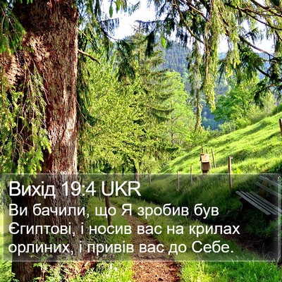 Вихід 19:4 UKR Bible Verse Image