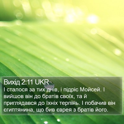 Вихід 2:11 UKR Bible Verse Image