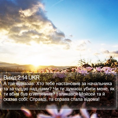 Вихід 2:14 UKR Bible Verse Image