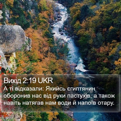 Вихід 2:19 UKR Bible Verse Image