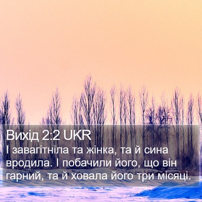 Вихід 2:2 UKR Bible Verse Image