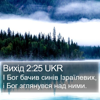 Вихід 2:25 UKR Bible Verse Image