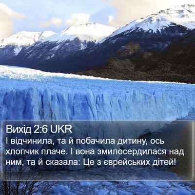 Вихід 2:6 UKR Bible Verse Image
