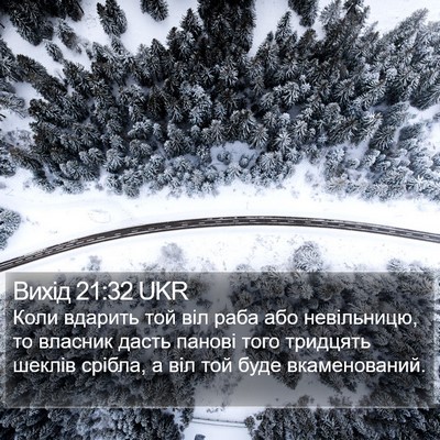 Вихід 21:32 UKR Bible Verse Image