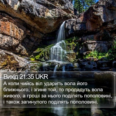 Вихід 21:35 UKR Bible Verse Image