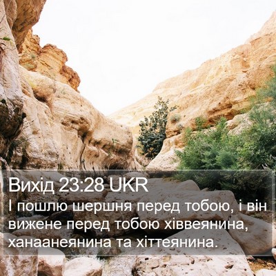 Вихід 23:28 UKR Bible Verse Image