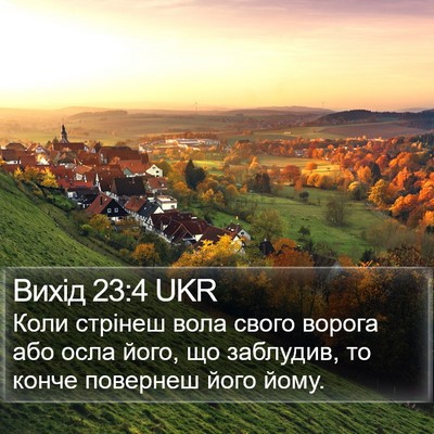 Вихід 23:4 UKR Bible Verse Image