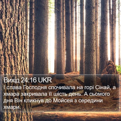 Вихід 24:16 UKR Bible Verse Image