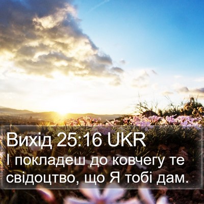 Вихід 25:16 UKR Bible Verse Image