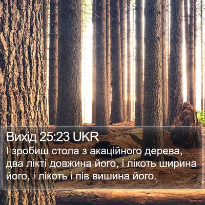 Вихід 25:23 UKR Bible Verse Image