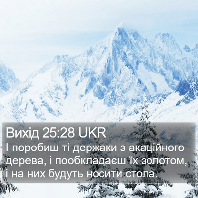 Вихід 25:28 UKR Bible Verse Image