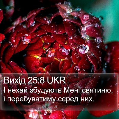 Вихід 25:8 UKR Bible Verse Image