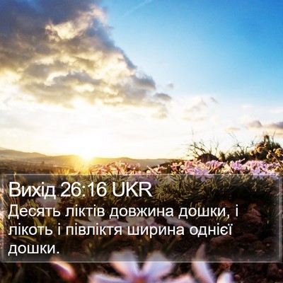 Вихід 26:16 UKR Bible Verse Image