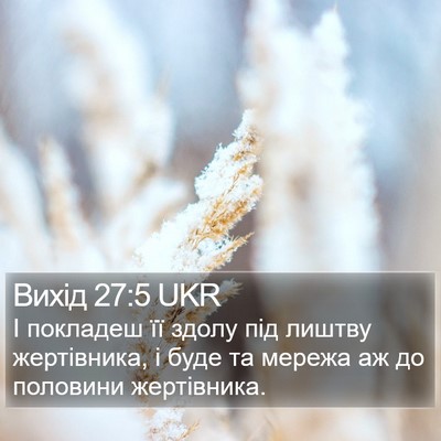 Вихід 27:5 UKR Bible Verse Image