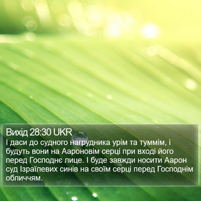 Вихід 28:30 UKR Bible Verse Image