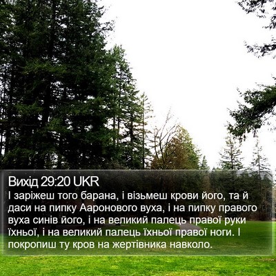 Вихід 29:20 UKR Bible Verse Image