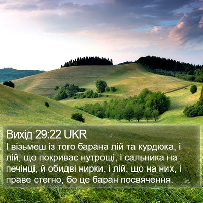 Вихід 29:22 UKR Bible Verse Image