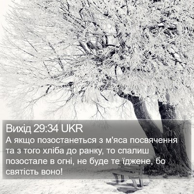 Вихід 29:34 UKR Bible Verse Image