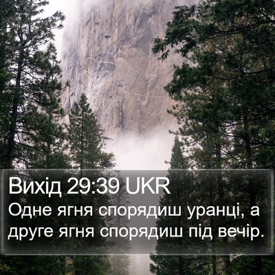 Вихід 29:39 UKR Bible Verse Image