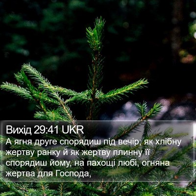 Вихід 29:41 UKR Bible Verse Image