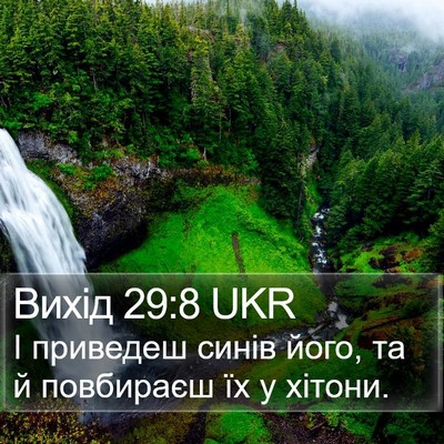 Вихід 29:8 UKR Bible Verse Image