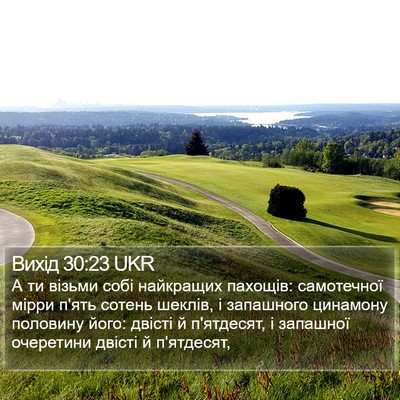 Вихід 30:23 UKR Bible Verse Image