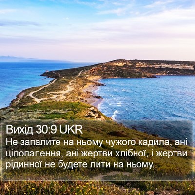 Вихід 30:9 UKR Bible Verse Image