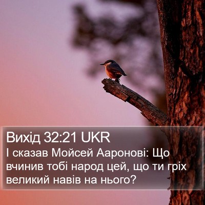 Вихід 32:21 UKR Bible Verse Image