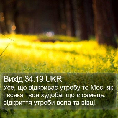 Вихід 34:19 UKR Bible Verse Image