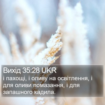 Вихід 35:28 UKR Bible Verse Image