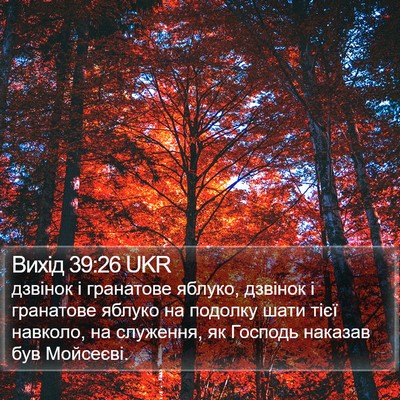 Вихід 39:26 UKR Bible Verse Image