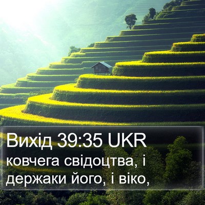 Вихід 39:35 UKR Bible Verse Image