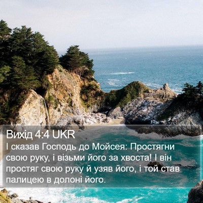 Вихід 4:4 UKR Bible Verse Image