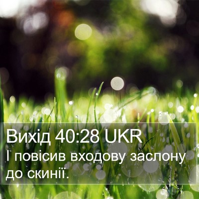 Вихід 40:28 UKR Bible Verse Image