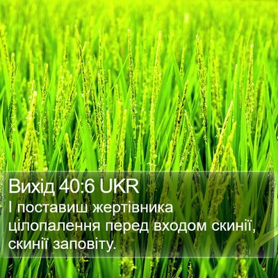 Вихід 40:6 UKR Bible Verse Image