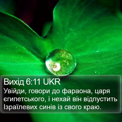 Вихід 6:11 UKR Bible Verse Image