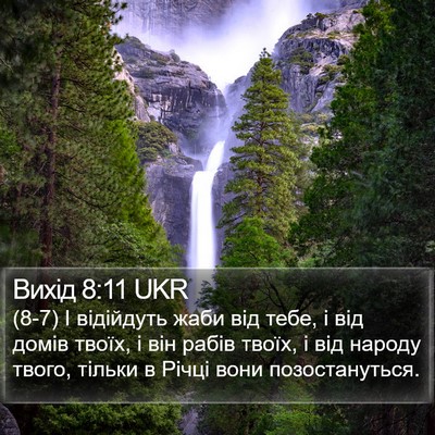 Вихід 8:11 UKR Bible Verse Image
