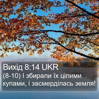 Вихід 8:14 UKR Bible Verse Image