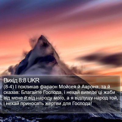 Вихід 8:8 UKR Bible Verse Image