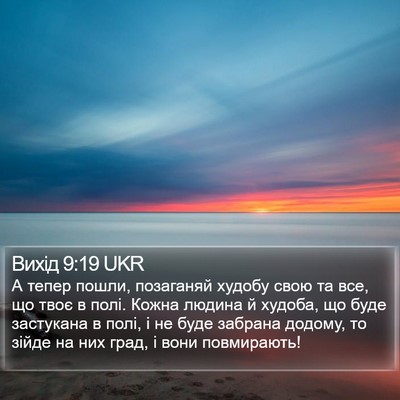 Вихід 9:19 UKR Bible Verse Image