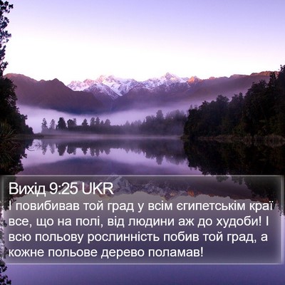 Вихід 9:25 UKR Bible Verse Image