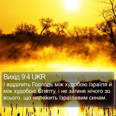 Вихід 9:4 UKR Bible Verse Image