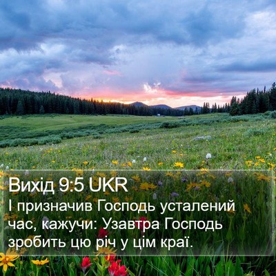 Вихід 9:5 UKR Bible Verse Image