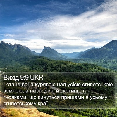 Вихід 9:9 UKR Bible Verse Image