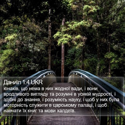 Даниїл 1:4 UKR Bible Verse Image